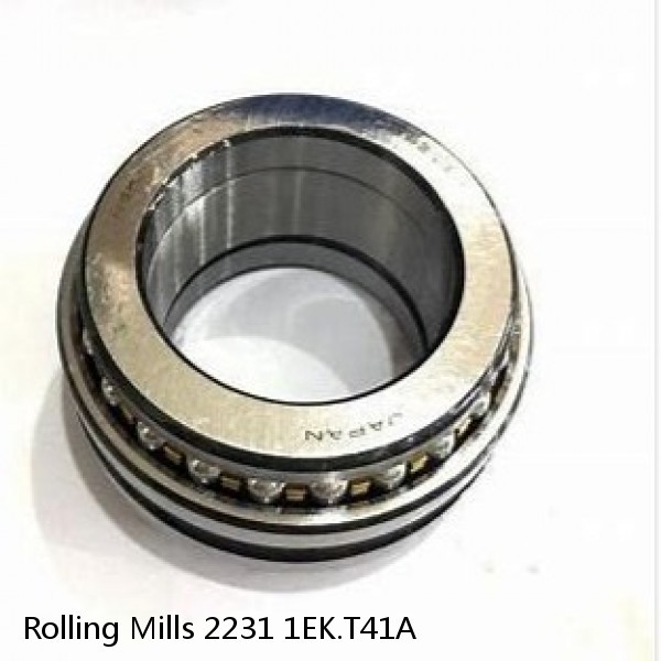 2231 1EK.T41A Rolling Mills Spherical roller bearings