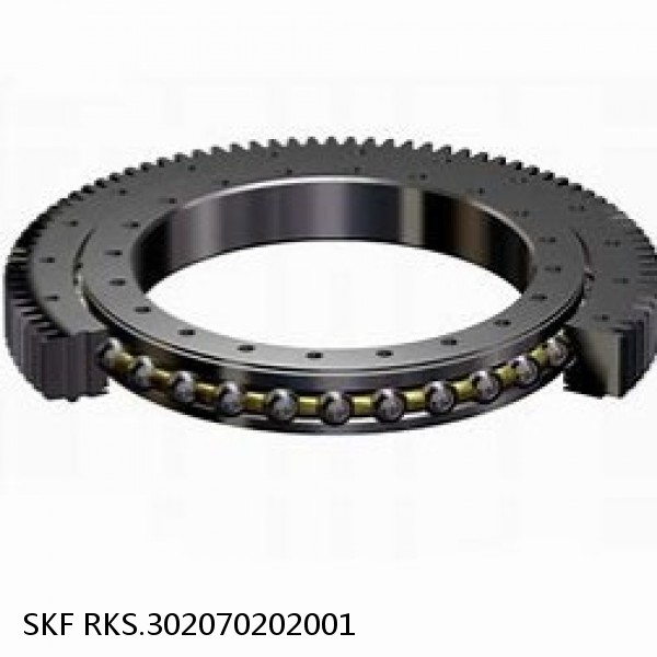 RKS.302070202001 SKF Slewing Ring Bearings