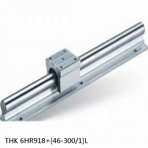 6HR918+[46-300/1]L THK Separated Linear Guide Side Rails Set Model HR