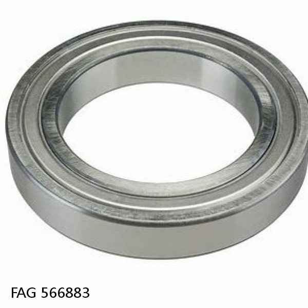 566883 FAG Cylindrical Roller Bearings