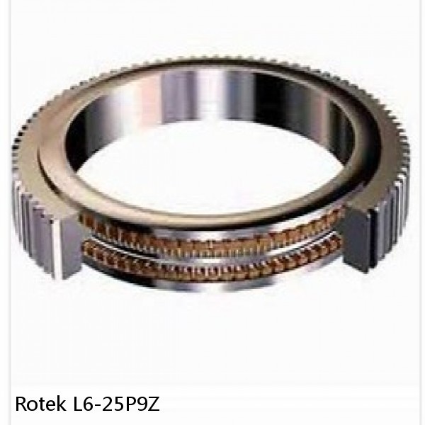 L6-25P9Z Rotek Slewing Ring Bearings