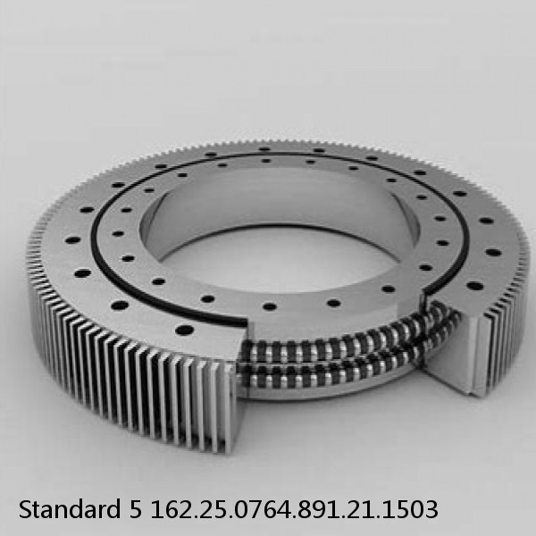 162.25.0764.891.21.1503 Standard 5 Slewing Ring Bearings