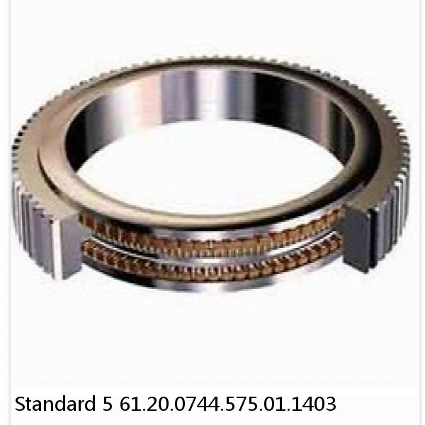 61.20.0744.575.01.1403 Standard 5 Slewing Ring Bearings