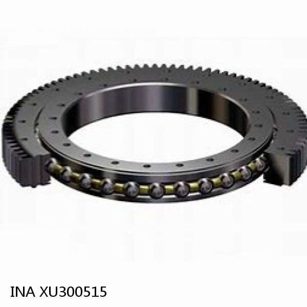 XU300515 INA Slewing Ring Bearings