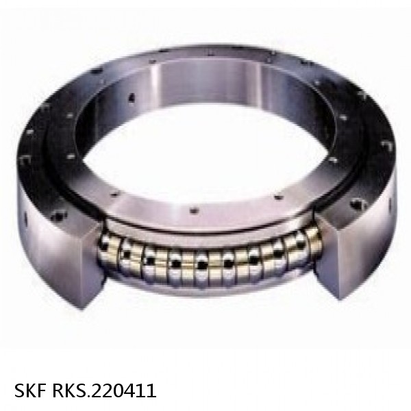 RKS.220411 SKF Slewing Ring Bearings