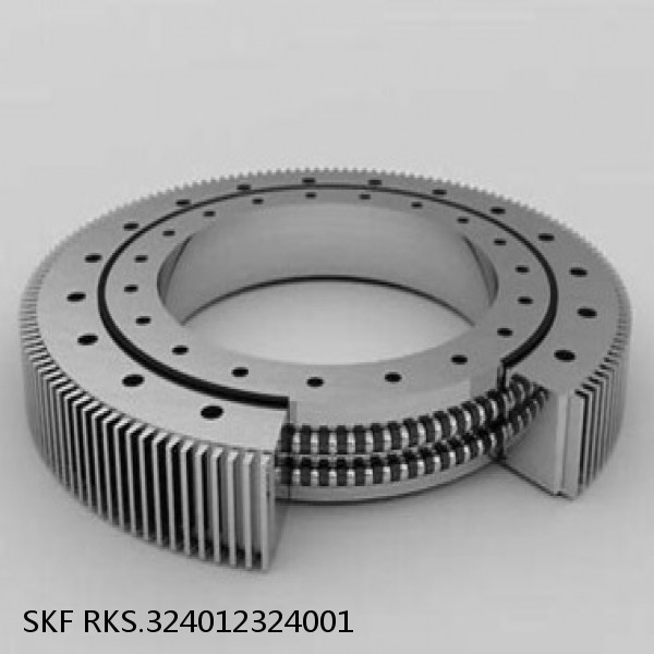 RKS.324012324001 SKF Slewing Ring Bearings