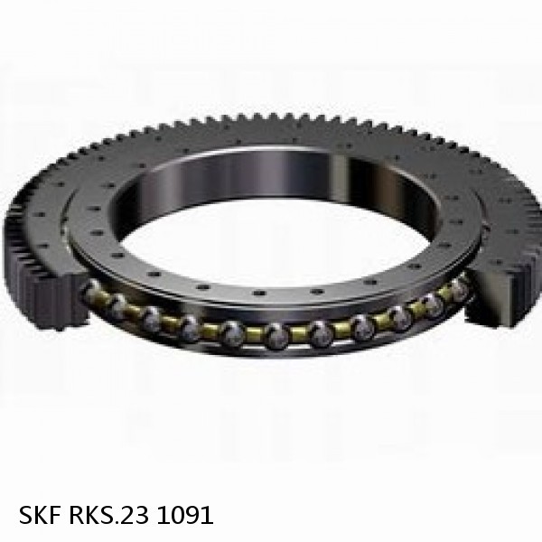 RKS.23 1091 SKF Slewing Ring Bearings