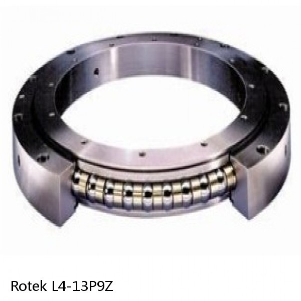 L4-13P9Z Rotek Slewing Ring Bearings