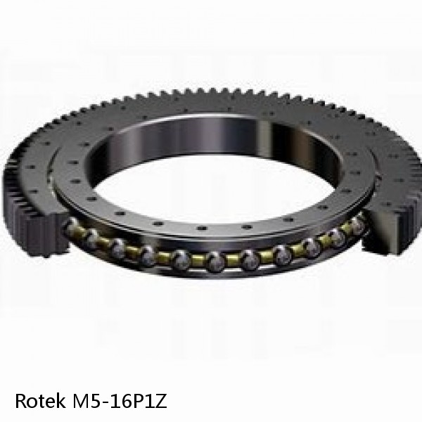 M5-16P1Z Rotek Slewing Ring Bearings