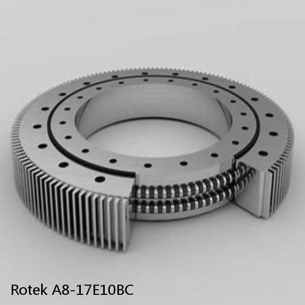 A8-17E10BC Rotek Slewing Ring Bearings