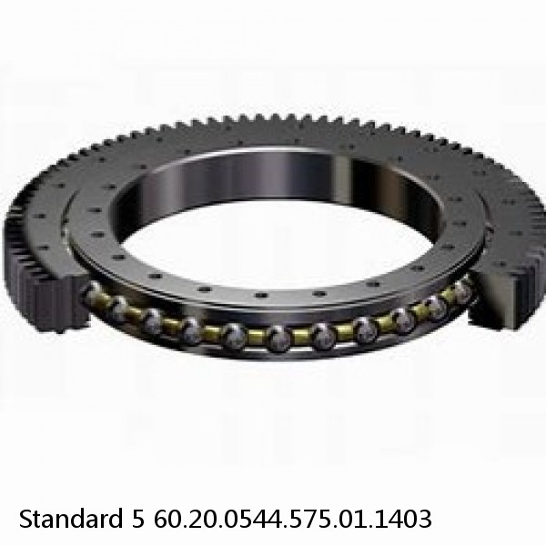 60.20.0544.575.01.1403 Standard 5 Slewing Ring Bearings