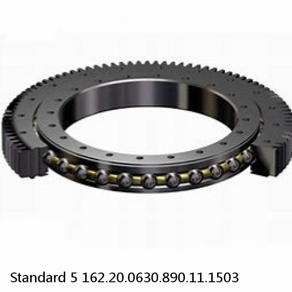 162.20.0630.890.11.1503 Standard 5 Slewing Ring Bearings