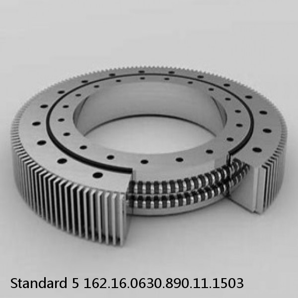 162.16.0630.890.11.1503 Standard 5 Slewing Ring Bearings