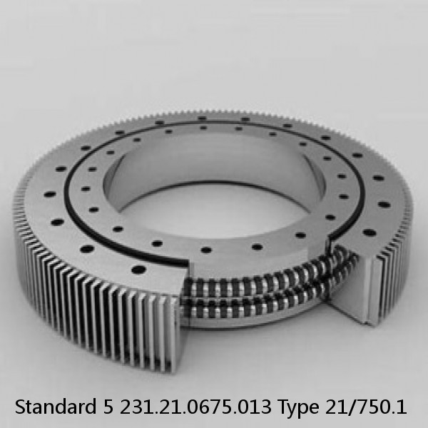 231.21.0675.013 Type 21/750.1 Standard 5 Slewing Ring Bearings