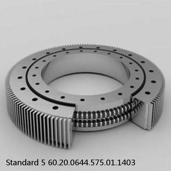 60.20.0644.575.01.1403 Standard 5 Slewing Ring Bearings