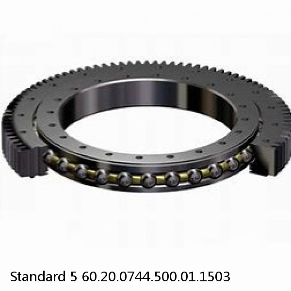 60.20.0744.500.01.1503 Standard 5 Slewing Ring Bearings