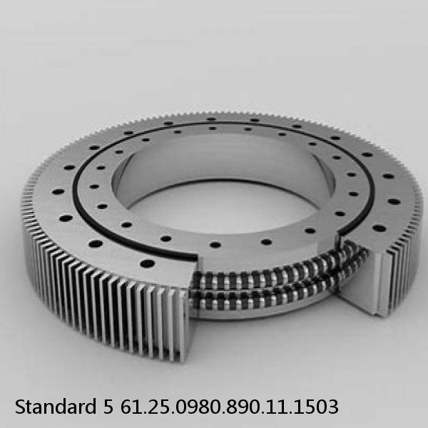 61.25.0980.890.11.1503 Standard 5 Slewing Ring Bearings