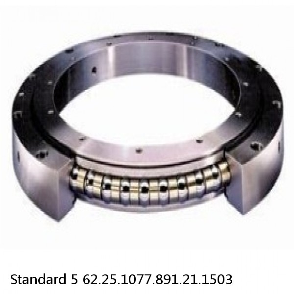 62.25.1077.891.21.1503 Standard 5 Slewing Ring Bearings