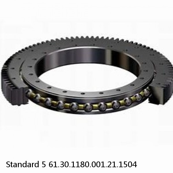 61.30.1180.001.21.1504 Standard 5 Slewing Ring Bearings