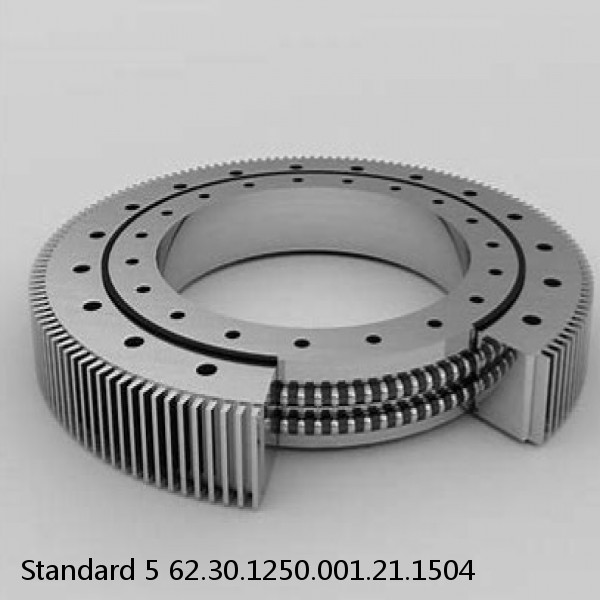 62.30.1250.001.21.1504 Standard 5 Slewing Ring Bearings